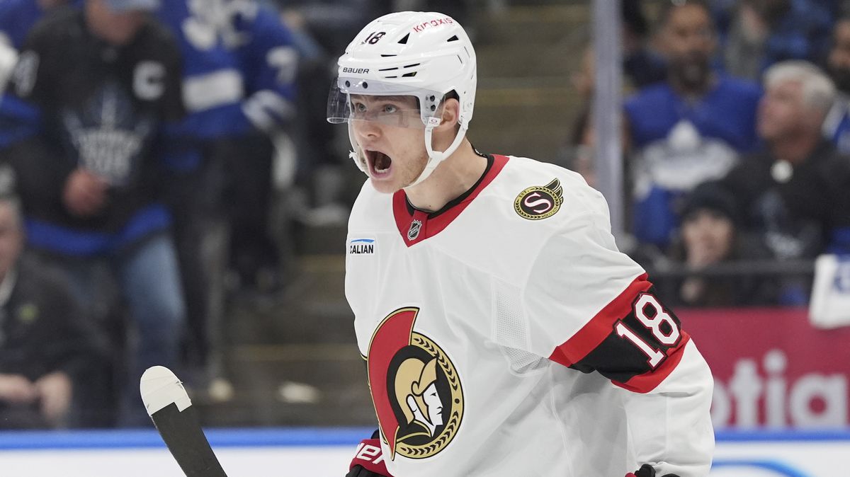 Německo ohlásilo další posilu z NHL na MS